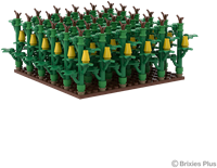 BRIXIES Plus Maïsveld - 505 st