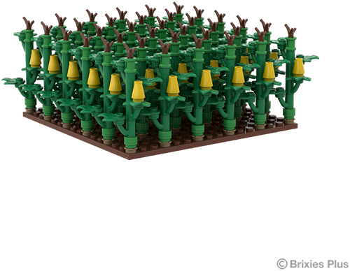 BRIXIES Plus Maïsveld - 505 st