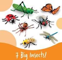 Learning Resources - Jumbo Insects-3
