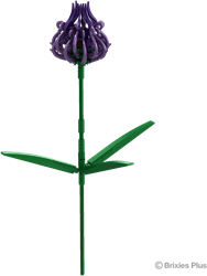 BRIXIES Plus Phyteuma paars - 77 st