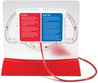 Learning Resources - Pumping Heart Model-3