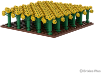 BRIXIES Plus Bloeiend koolzaadveld - 496 st