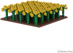 BRIXIES Plus Bloeiend koolzaadveld - 496 st