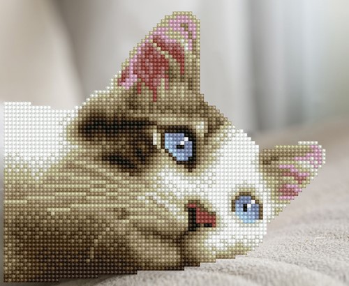 Diamond Dotz - Daydream Kitty