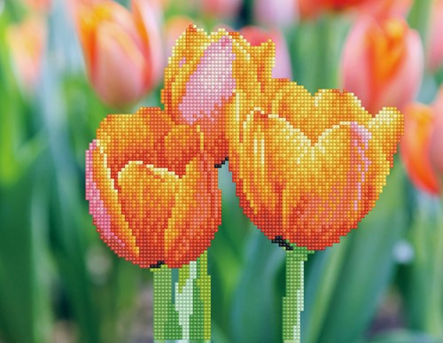 Diamond Dotz - Love Tulips