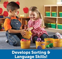Learning Resources - Farmer's Market Colour Sorting Set-2