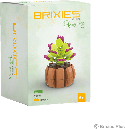 BRIXIES Plus Mini Bloem "Venus" - 119 st-2
