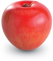 Learning Resources - Magnetic Apple Fractions-3