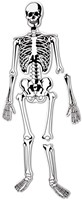 Learning Resources - Skeleton Foam Floor Puzzle
