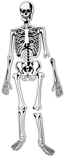 Learning Resources - Skeleton Foam Floor Puzzle