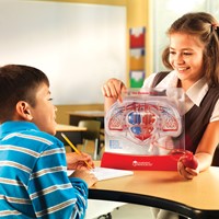 Learning Resources - Pumping Heart Model-2
