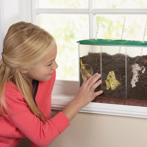 Learning Resources - Now You See It, Now You Don't™ See-Through Compost Container-2