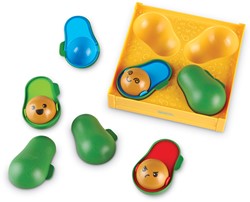 Learning Resources - Learn-A-Lot Avocados