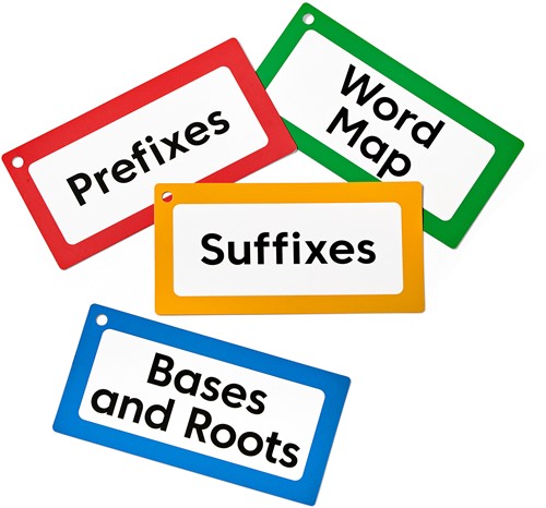 Learning Resources - Morphology Wall Card Set-2